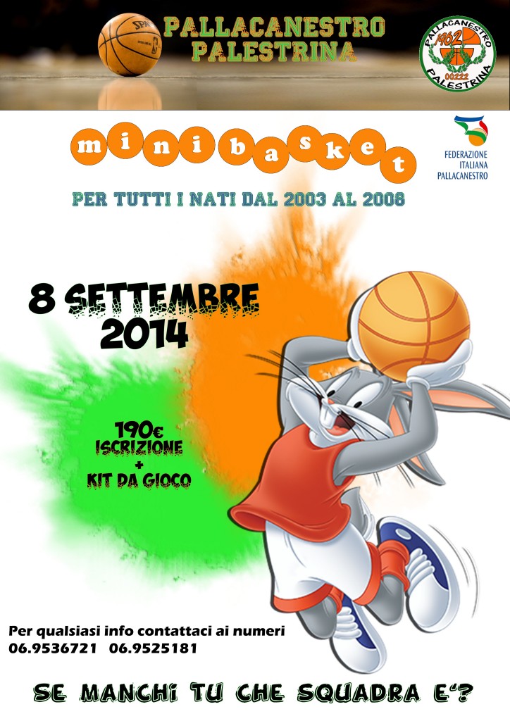 locandina minibasket2015